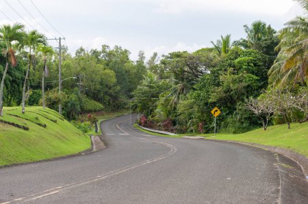 Photo for Empty Curve Road in Palau. Green Palm Tree and Road Sign. Micronesia - Royalty Free Image