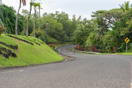 Foto de Carretera Curva Vacía en Palau. Palmera verde y señal de tráfico. Micronesia - Imagen libre de derechos