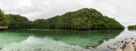 Photo for Nature and Landscape in Koror, Palau. Island and water. - Royalty Free Image