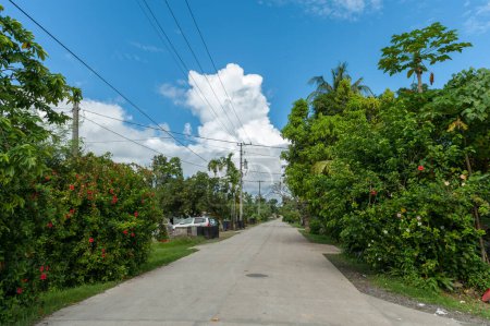 Photo for Street in Koror, Palau. Micronesia - Royalty Free Image
