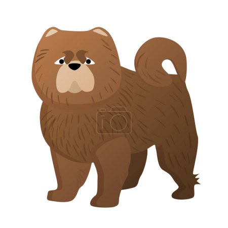 Ilustración de Chow chow dog. Raza doméstica perrito, mascota leal familiar, cachorro amigo vector ilustración de dibujos animados - Imagen libre de derechos