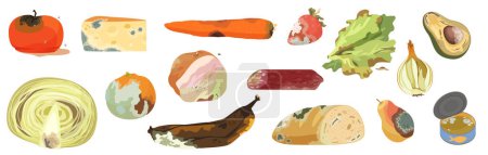 Illustration for Rotten damaged food set vector illustration. Cartoon isolated bad fruit, vegetables and grocery products spoiled with bacterias and mold, dirty moldy expired food ingredients with poison on skin - Royalty Free Image