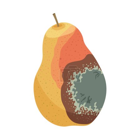 Illustration for Spoiled pear fruit. Rotten food product, organic food waste cartoon vector illustration - Royalty Free Image