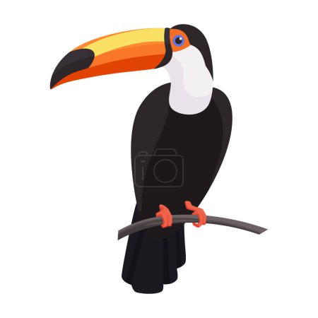 Téléchargez les illustrations : Oiseau toucan avec gros bec assis sur la branche d'un arbre dans la forêt tropicale illustration vectorielle - en licence libre de droit