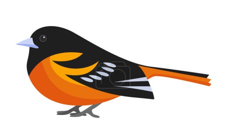Illustration for Chaffinch, Fringilla coelebs, male perched little forest bird vector illustration - Royalty Free Image