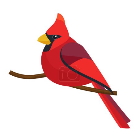 Illustration for Northern Cardinal, portrait of beautiful red bird sitting on tree branch vector illustration - Royalty Free Image