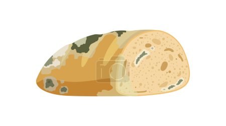 Spoiled bread food. Rotten food product, organic food waste cartoon vector illustration