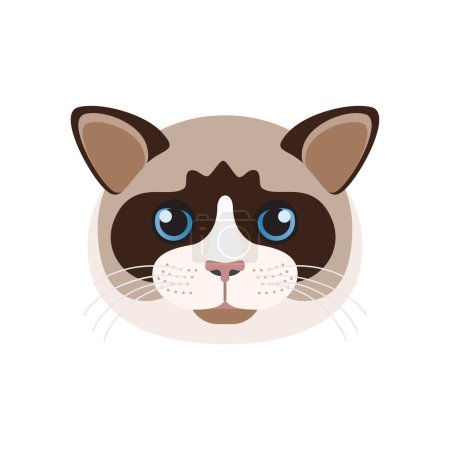 Illustration for Ragdoll cat face with blue eyes, whiskers and colorpoint coat on muzzle vector illustration - Royalty Free Image