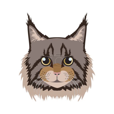 Téléchargez les illustrations : Face de chat Maine Coon, chaton domestique avec des pointes typiquement lynx sur l'illustration vectorielle de la tête - en licence libre de droit