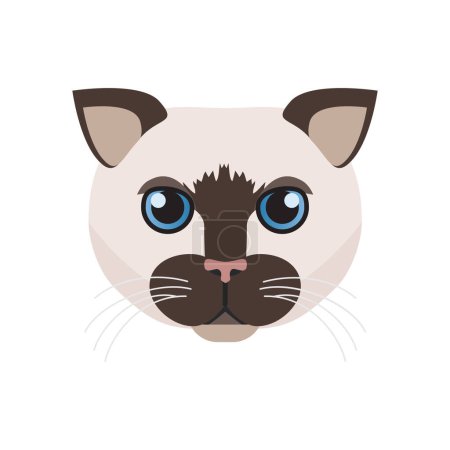 Siamese cat face, cute head of shorthair animal, kitten portrait vector illustration