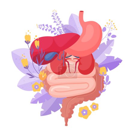 Ilustración de Apoyo y cuidado de la salud de los órganos internos. Diagrama de anatomía médica de órganos en el vientre humano, estómago e intestinos, riñones e hígado con flores y plantas ilustración vectorial de dibujos animados - Imagen libre de derechos