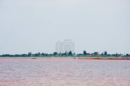 Rosaroter See. Sommerurlaub am rosa Wasser in Australien. Der rosarote See der Ukraine. Lake Hillier Naturdenkmal Australiens. Port Gregory Pink Lake. Das salzige Ufer der Laguna Salada.