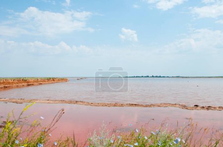 Lago Rosa. Vacaciones de verano en el lago rosa en Australia. Ucrania lago rosa. Lago Hillier monumento natural de Australia. Port Gregory Agua rosada. La costa salada de la Laguna Salada. Hermosa naturaleza.