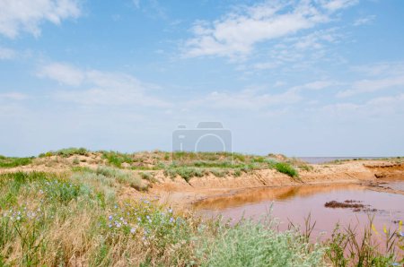 Lac rose. Vacances d'été au lac rose en Australie. Lac rose Ukraine. Point de repère naturel du lac Hillier en Australie. Port Gregory Eau rose. La rive salée de la Laguna Salada. Beauté naturelle.