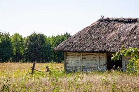 Authentic Ukrainian house in countryside. Summer village in Ukraine. Old folk thatched house. Ukrainian traditional rustic house. Rural countryside in summer ranch. Architecture. Copy space.