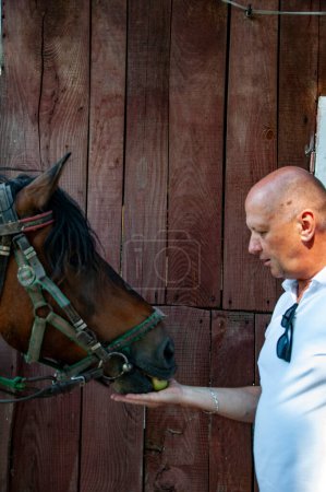Man with horse in stable at countryside ranch. Man horse rider in summer outdoor. Equestrian and horseback riding. Horse stallion equine with Caucasian man. Countryside ranch.