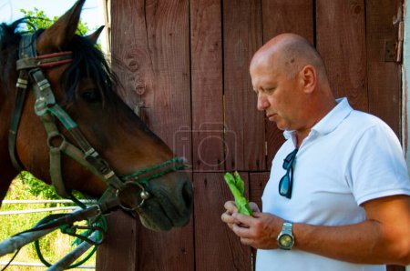 Man with horse in stable at countryside ranch. Man horse rider in summer outdoor. Equestrian and horseback riding. Horse stallion equine with Caucasian man. Countryside ranch. Stable facilities.