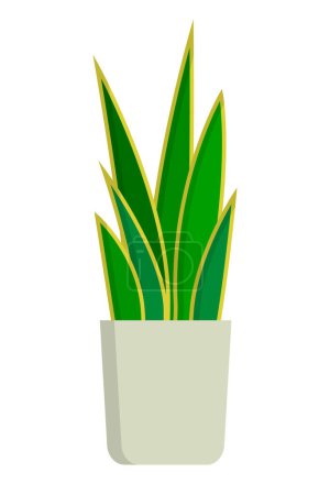 Dracaena trifasciata icon. Sansevieria trifasciata icon. Snake plant icon. Editable vector.