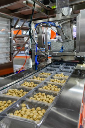 Téléchargez les photos : Beaucoup de boulettes de viande ligne de production alimentaire sur les machines d'équipement de bande transporteuse dans l'usine, production alimentaire industrielle - en image libre de droit