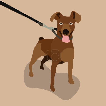 Illustration for Vector isolated illustration of a miniature pinscher dog. - Royalty Free Image