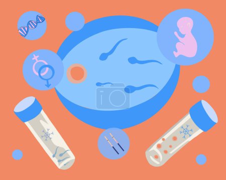 Ilustración de Ilustración aislada vector de inseminación artificial. Congelación de óvulos y espermatozoides. Donación de huevos. Donación de esperma. - Imagen libre de derechos