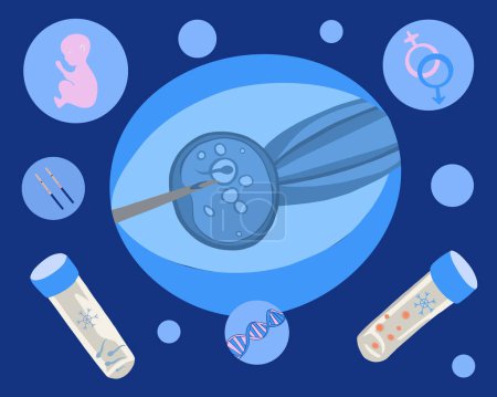 Künstliche Befruchtung. In-vitro-Fertilisation. Eizellen einfrieren. Samenspende. Eizellspende. Sperma einfrieren. Fruchtbarkeitsklinik. Vektorisolierte Darstellung des Befruchtungsprozesses.