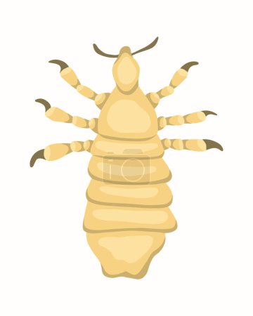 Illustration for Vector isolated illustration of louse. Human louse. The problem of pediculosis. - Royalty Free Image