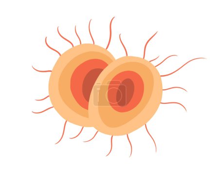 Illustration for Vector isolated illustration of gonorrhea pathogen under a microscope. Gonorrhea bacteria. ausative agent of gonorrhea. - Royalty Free Image