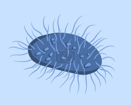 Illustration for Vector isolated illustration inguinal granuloma bacterium. - Royalty Free Image