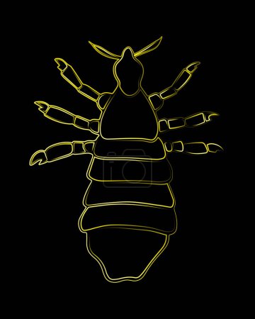 Illustration for Vector isolated illustration of louse. Human louse. The problem of pediculosis. - Royalty Free Image