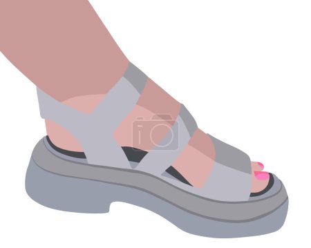 Vector isolated illustration of women's sandals. Female summer legs in sandals.