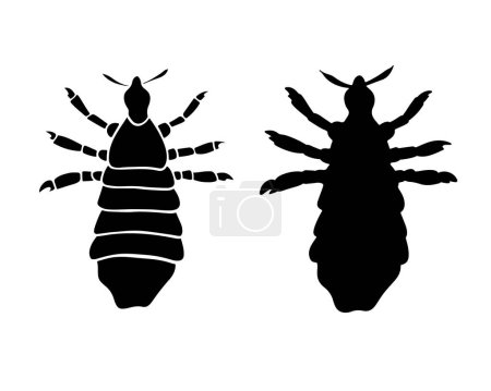 Illustration for Vector isolated illustration of louse silhouette on white background. - Royalty Free Image