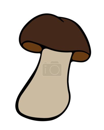 Vector isolated illustration of birch mushroom on a white background.