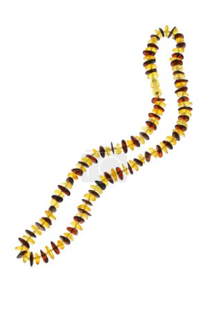 Natural Baltic Amber chain on white background
