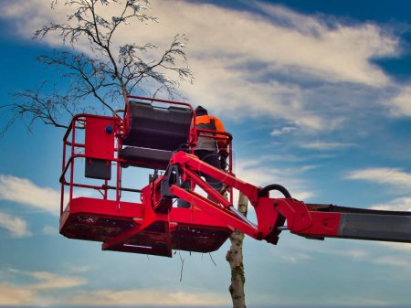 Foto de Poda no identificada en recogedor de cereza roja cortando la parte superior del árbol con motosierra con cielo azul - Imagen libre de derechos