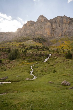 Photo for Mountain creek in the valley of Ordesa in the Pyrenees, Spain. High quality photo - Royalty Free Image