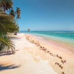 Sunny tropical Caribbean Island Tobago. Coconut palm trees, white sand beach,sunshine and turquoise water. Travel destination