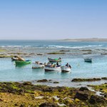  Boa Vista, Cape Verde- March 22, 2018: A peaceful harbor scene with colorful boats in Sal Rei serene waters