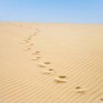 Desert walk: footprints to the horizon in Boa Vista, Cape Verde. High quality photo