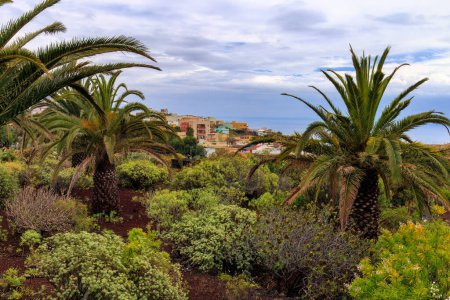 Saftig grüne Landschaft auf der Insel Teneriffa, Spanien
