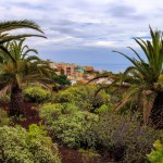 Lush green landscape on Tenerife island , Spain