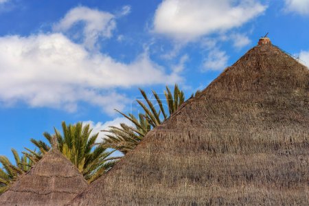 Rattandächer und Palmen unter blauem Himmel auf Teneriffa. Spanien.
