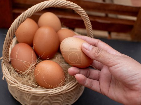 Photo for Fresh chicken eggs on nest. hands take chicken eggs from the nest. chicken coop in the village - Royalty Free Image