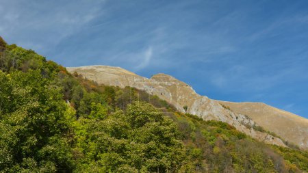 Téléchargez les photos : Les falaises escarpées et érodées du massif rocheux de Buila s'élevant au-dessus d'une forêt de hêtres. Saison d'automne, les arbres sont tous colorés. Carpathie, Roumanie. - en image libre de droit