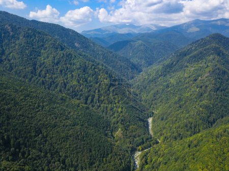 Téléchargez les photos : Les hêtraies sauvages des monts Parang vues d'en haut par une journée d'été ensoleillée et claire. Des nuages recouvrent les sommets montagneux. Carpathie, Roumanie. - en image libre de droit