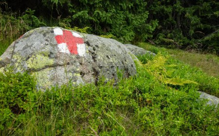 Téléchargez les photos : Une croix rouge représentant un panneau de sentier de montagne, peint sur un rocher. Les formations de lichens poussent sur la roche. Le rocher est dans un pâturage entouré de bleuetiers, près d'une forêt de conifères. - en image libre de droit