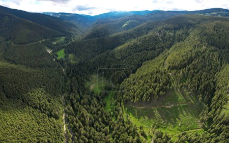 Drohnenblick über dem Sadu-Tal. Sadu Fluss fließt entlang wilder Nadelwälder durch grüne Weiden. Cindrel Berggipfel erheben sich ungestüm in den wolkenverhangenen Himmel. Sonniger Tag, Karpathien, Rumänien