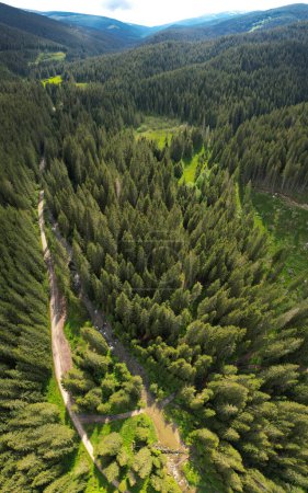 Vertikaler Drohnenblick über dem Sadu-Tal. Sadu Fluss fließt entlang wilder Nadelwälder durch grüne Weiden. Cindrel Berggipfel erheben sich ungestüm in den wolkenverhangenen Himmel. Karpathien, Rumänien