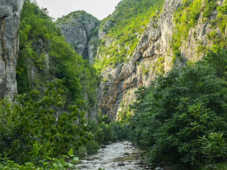 A river flowing through a canyon narrowed by vertical stone walls and sharp cliffs on which tree grow, lit by the sunlight. Sohodol Gorges, Carpathia, Romania. 