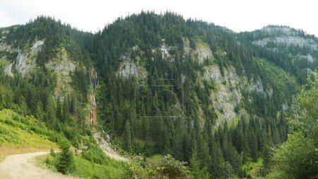 A road winding along rocky mountainsides with coniferous trees growing on it. A small stream forms a waterfall when flowing of the cliffs. Rodna Mountains, Carpathia, Romania.